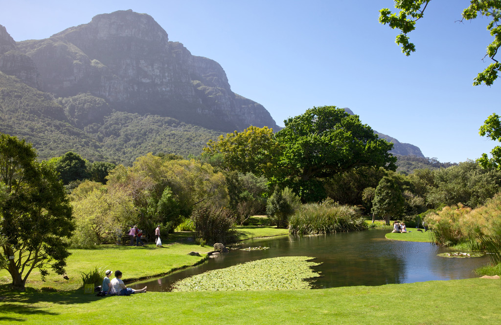Фото: Ботанический сад Кирстенбош, Кейптаун, Южная Африка