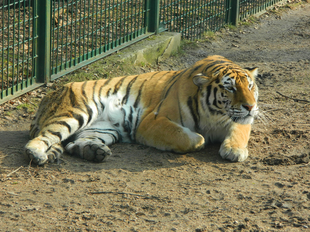 Фото: Литовский зоопарк