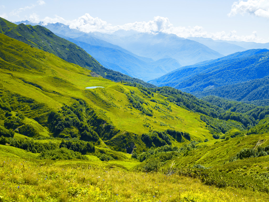 Фото: Альпийские луга Абхазии