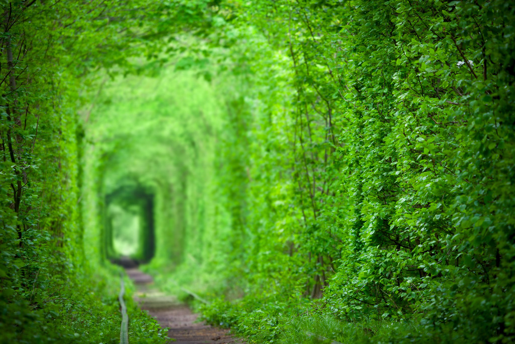 Фото: Туннель любви, Украина