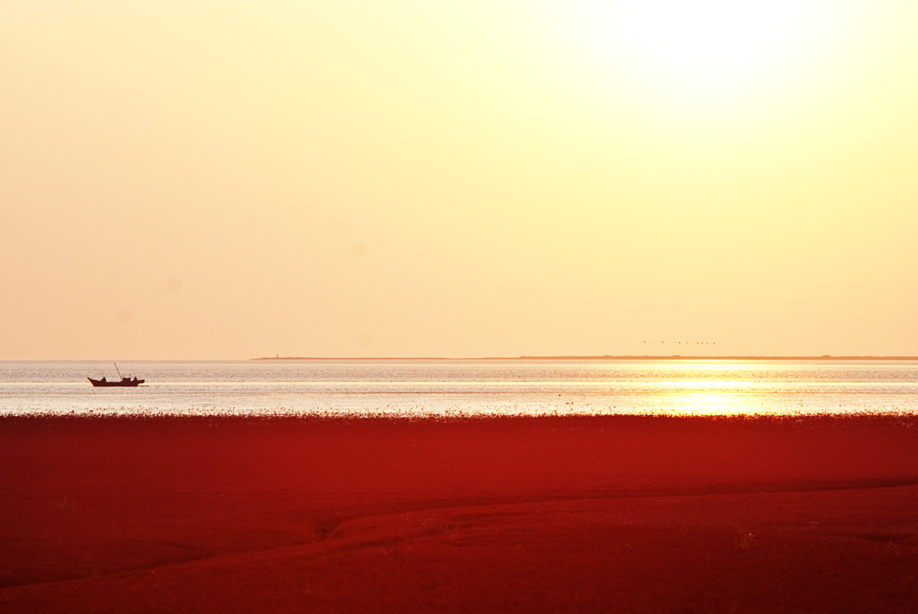 Фото: Красный пляж Паньцзинь, река Ляох, Китай