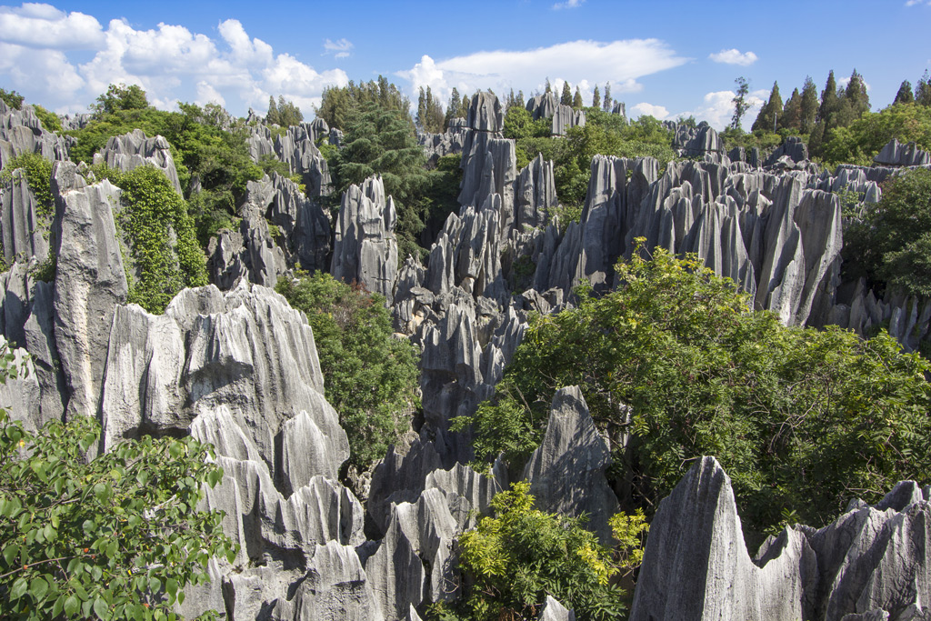Фото: Каменный лес Шилинь, Китай