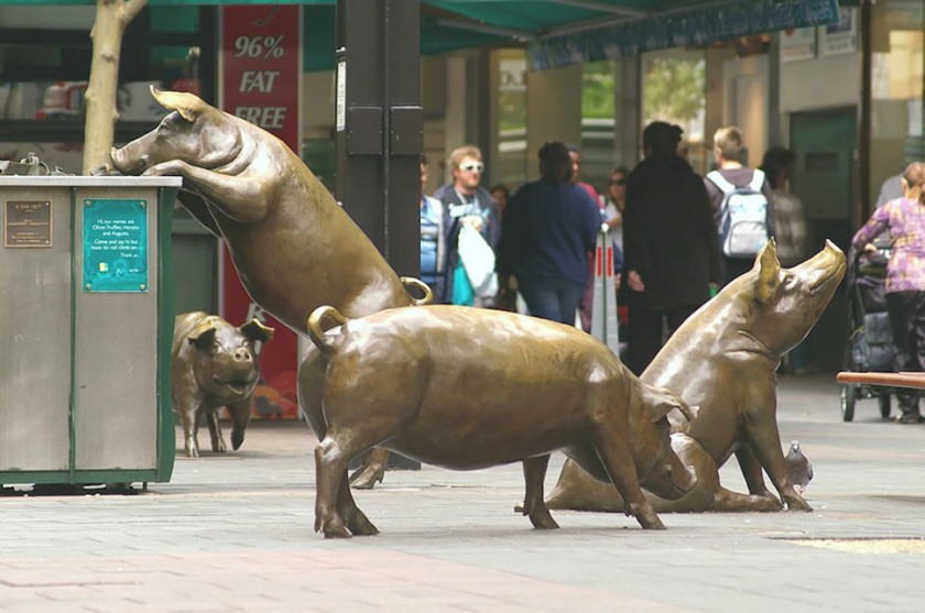 Фото: Свиньи перед торговым центром Rundle Mall в Алелаиде