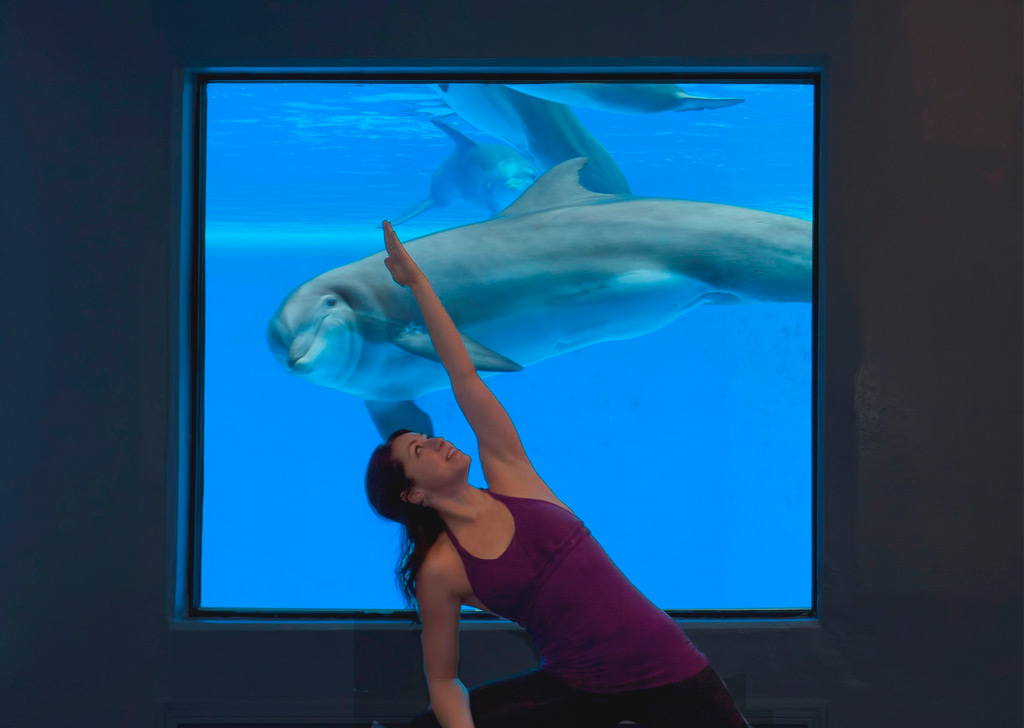 Фото: Йога с дельфинами