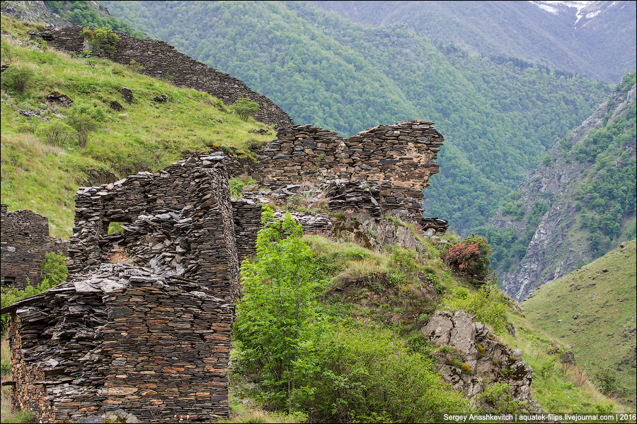 Фото: 