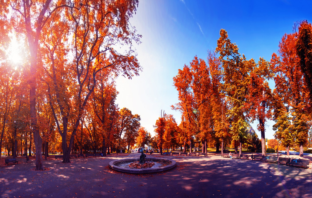 Фото: Kalemegdan