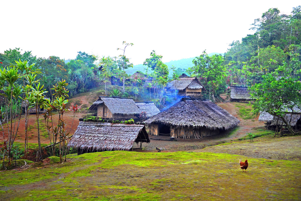 Фото: Деревня в тропических лесах
