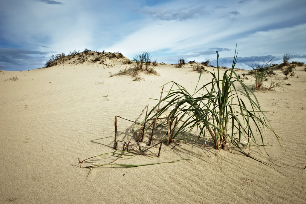 Фото: Песчаная дюна