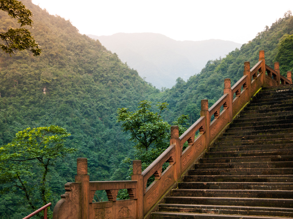 Фото: Крутая лестница в лесу