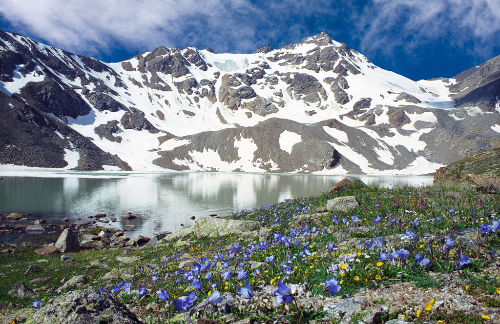 Фото: Озеро с цветущим лугом