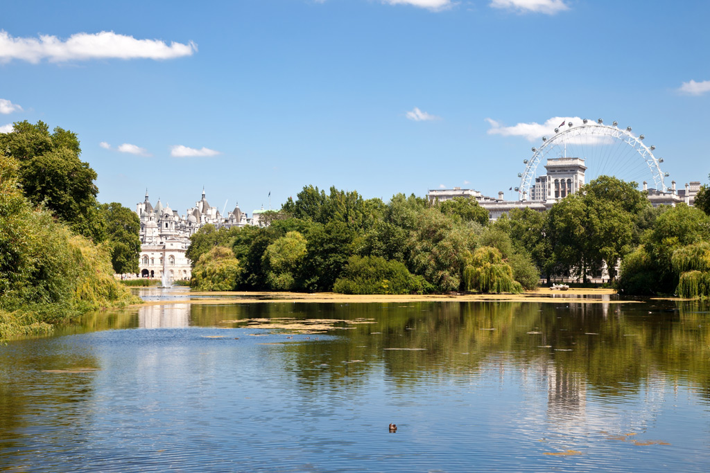 Фото: St. James Park