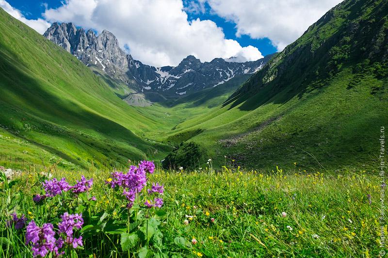 Фото: Грузия, Гора Чаухи