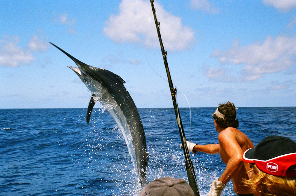 Фото: Рыбалка на Маврикий