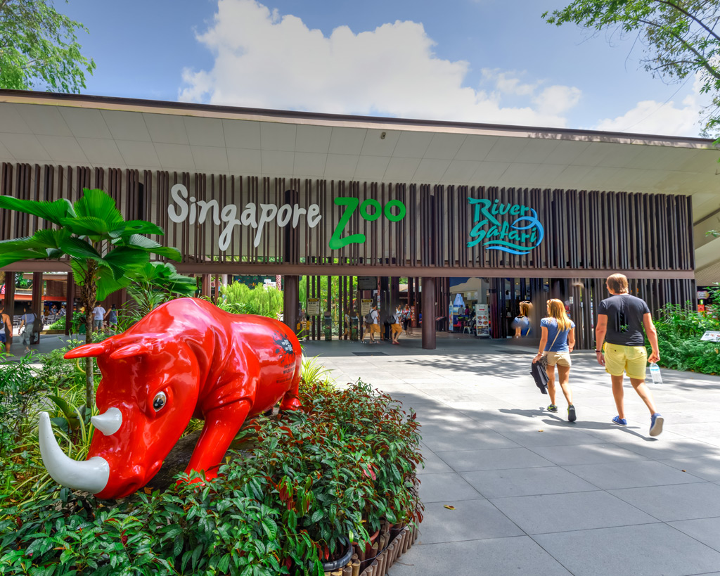 Фото: Зоопарк Сингапура