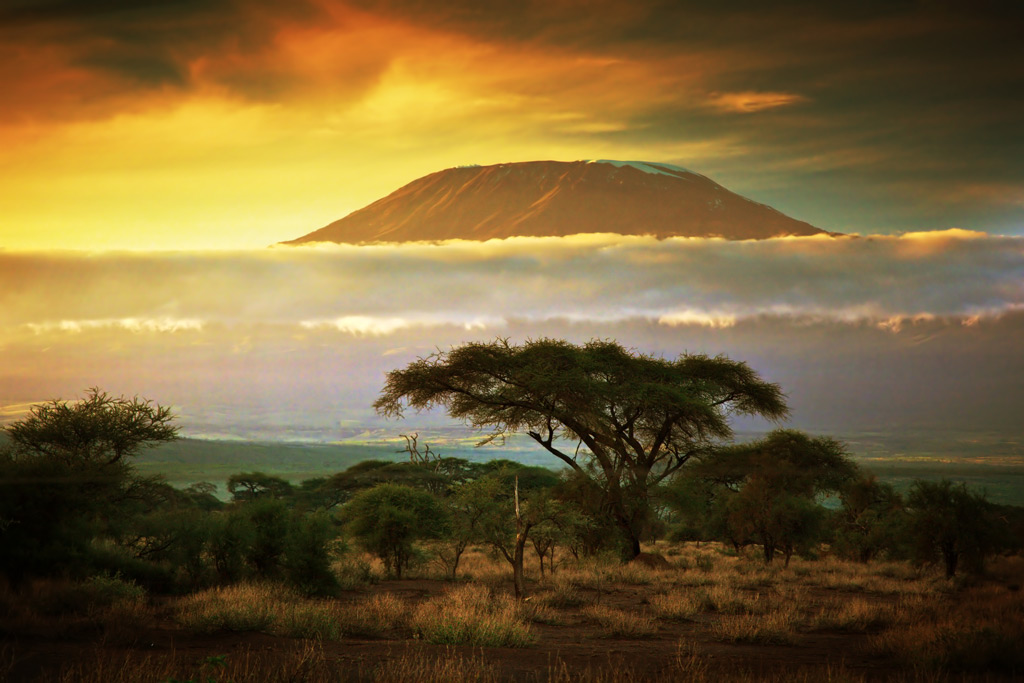 Фото: Килиманджаро