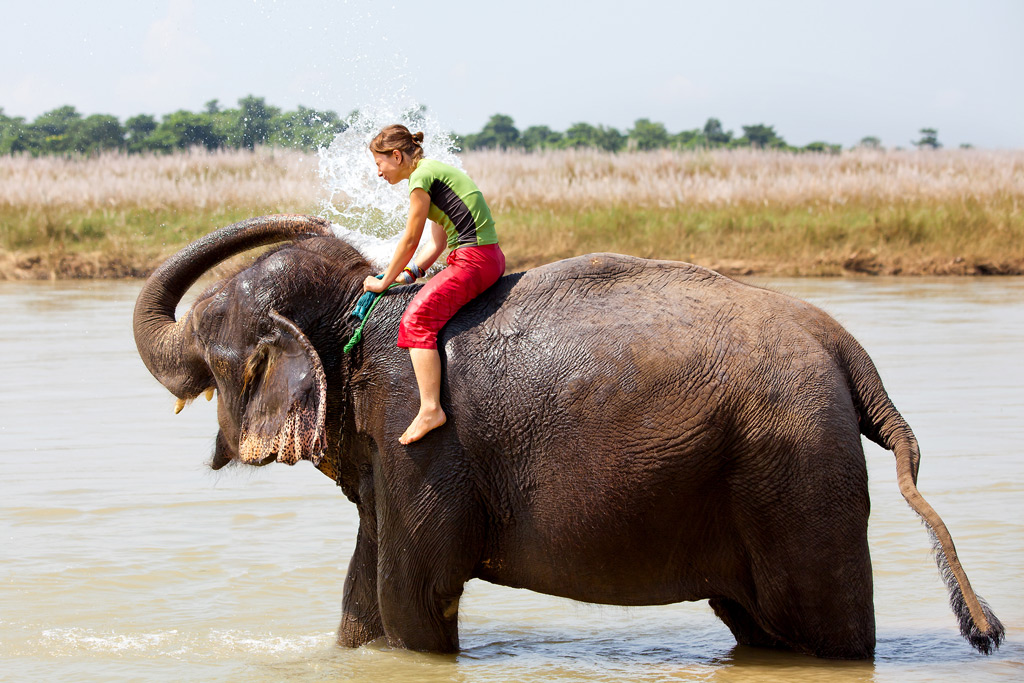 Фото: Искупаться со слоном