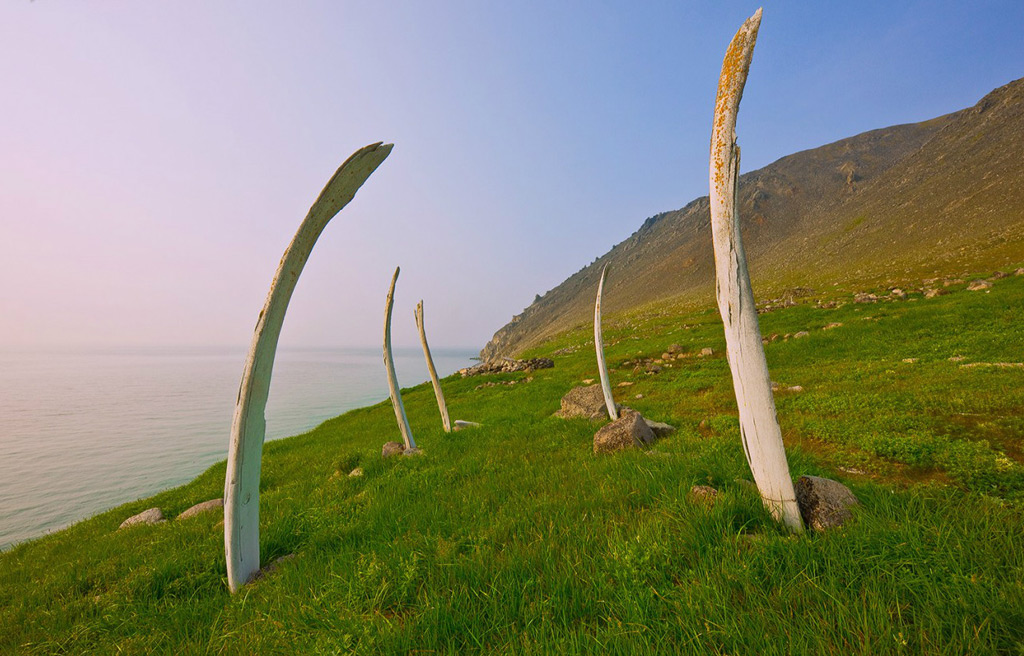 Фото: Кости гренландских китов