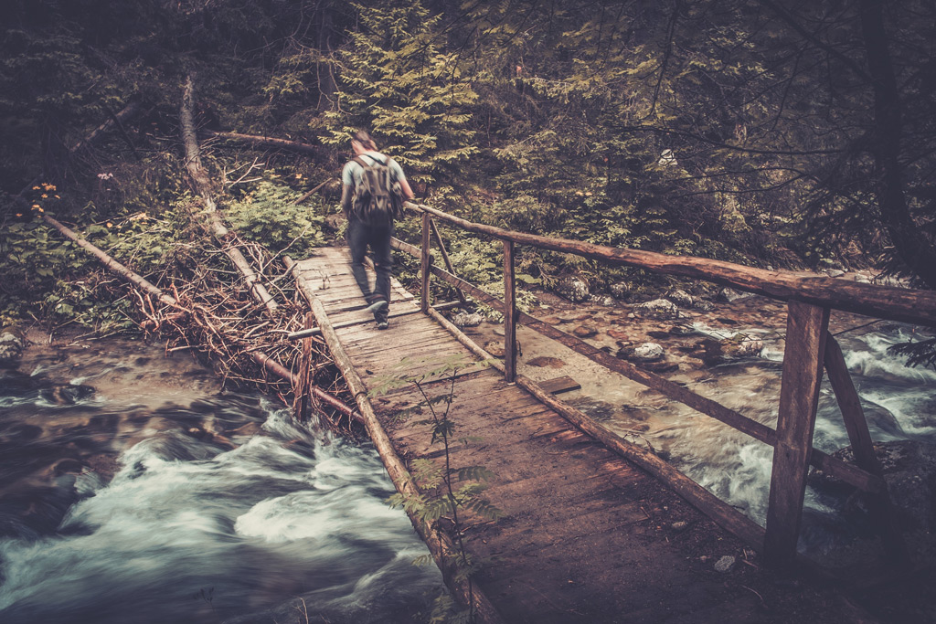 Фото: Деревянный мост в лесу