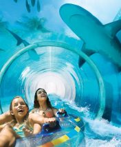 Отдохнуть и повеселиться: 8 потрясающих отелей с аквапарками