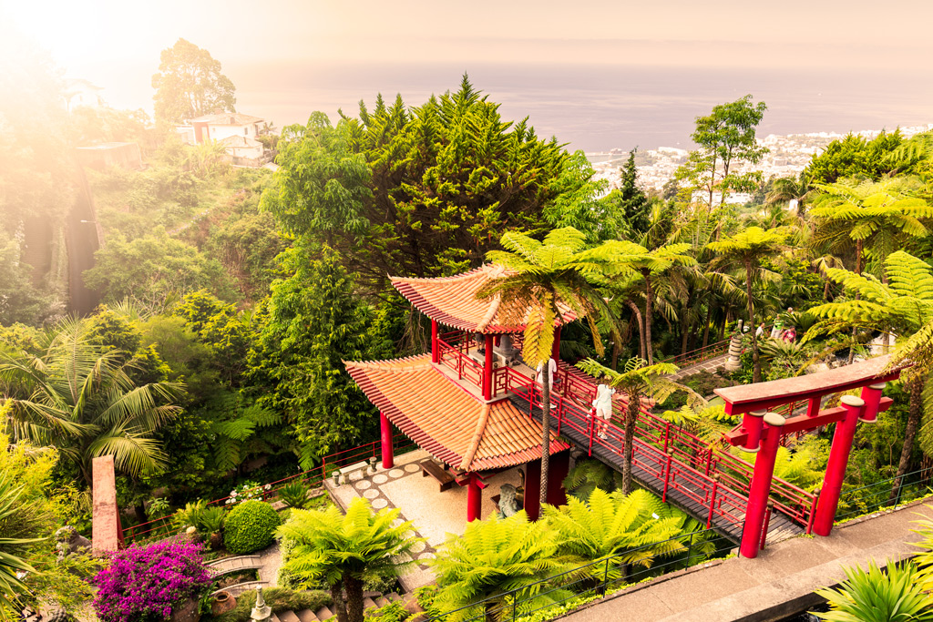 lovely-park-island-of-madeira