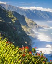 Мадейра: остров вечной весны