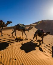 Приключения участника «Кудаблин» в Марокко. Часть II