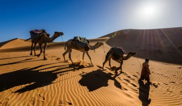 Приключения участника «Кудаблин?Тудаблин!» в Марокко. Часть II