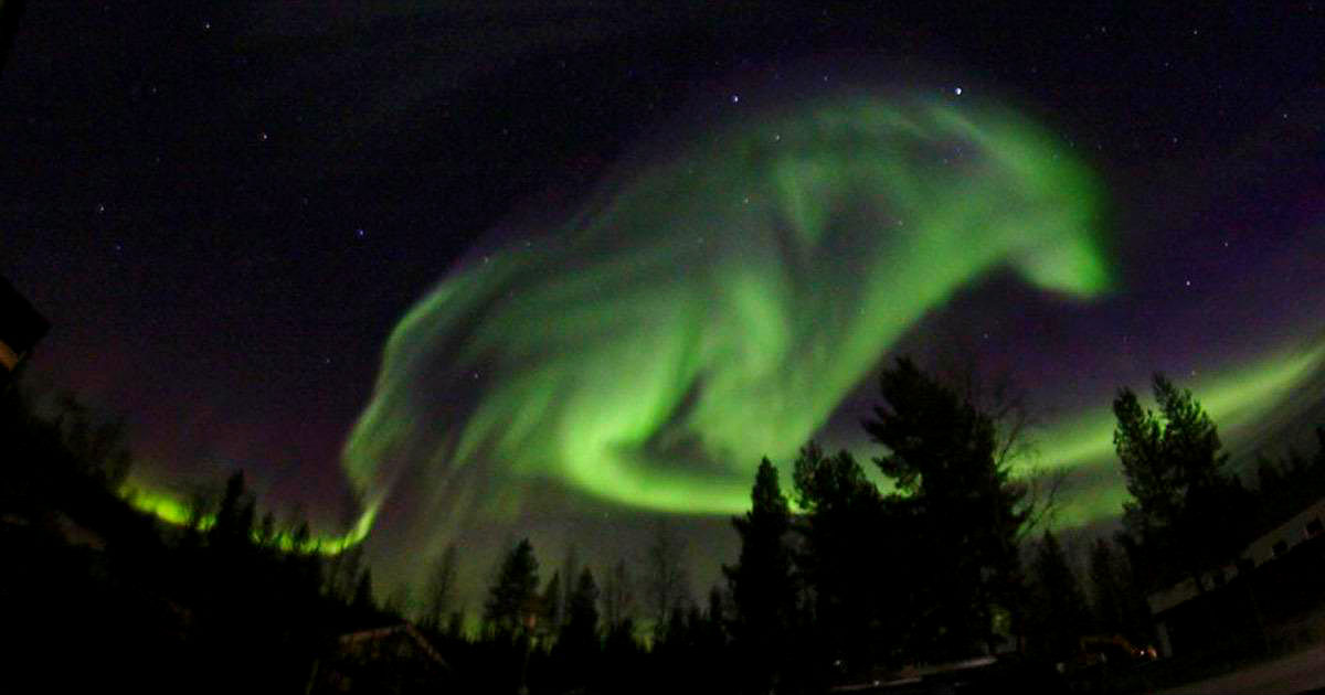 Фото: Северное сияние в Швеции