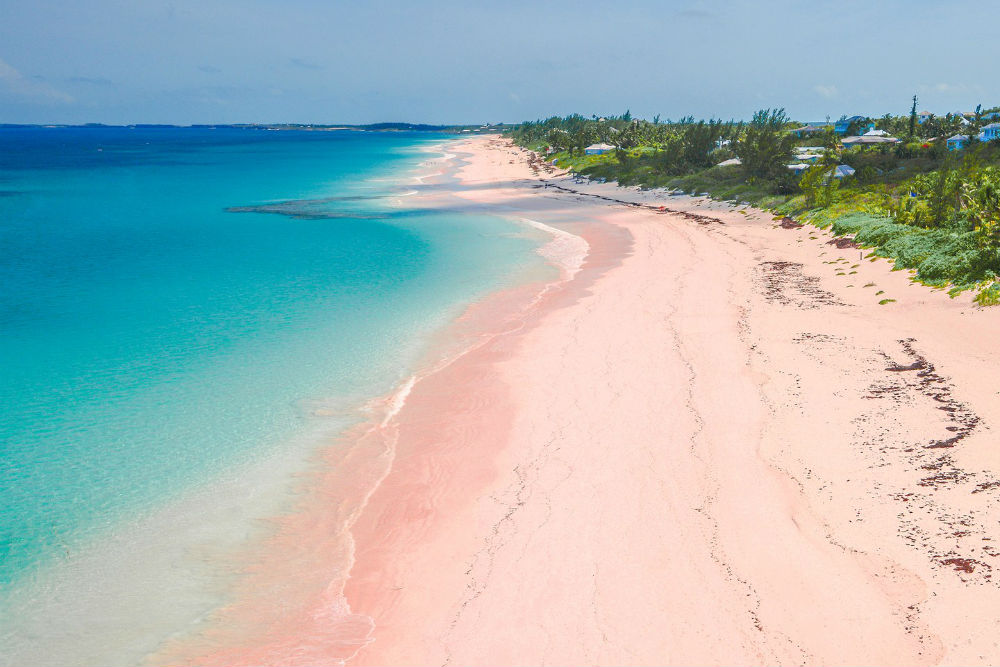 Фото: Pink Sands Beach