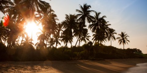 Фото: Пляж на Шри-Ланке