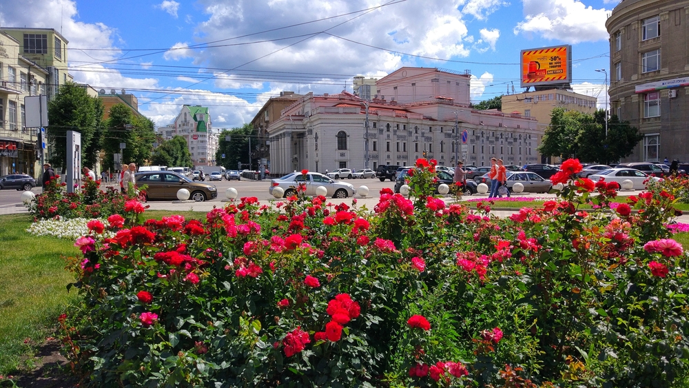 Сайт воронеж где