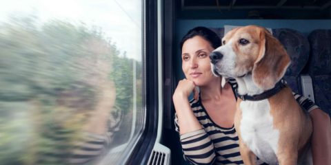 Фото: Как перевозить животных в поезде
