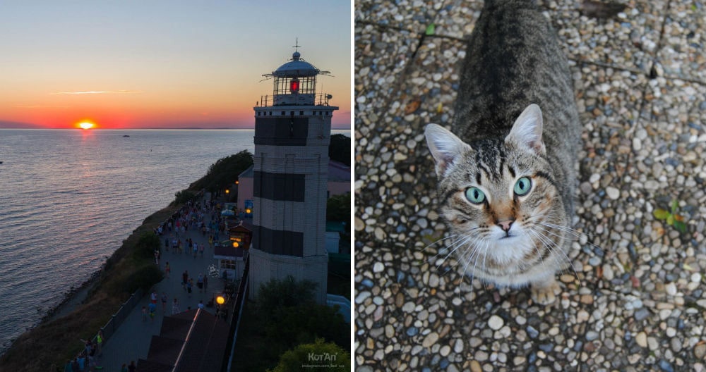 Фото: Анапский маяк и коты