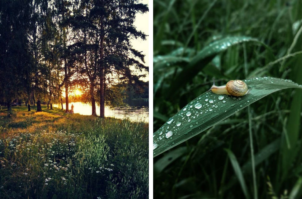 Фото: Парк «Берендеевка»