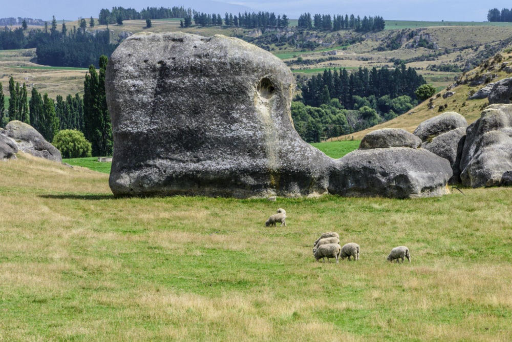 Фото: Слоновьи горы