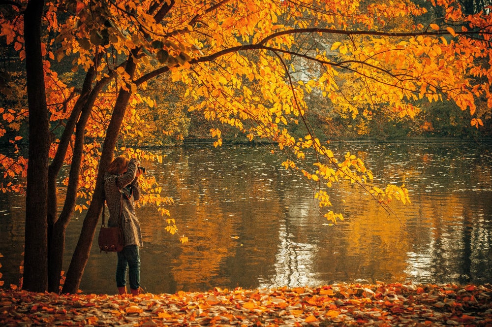 Осеннее Подмосковье Фото