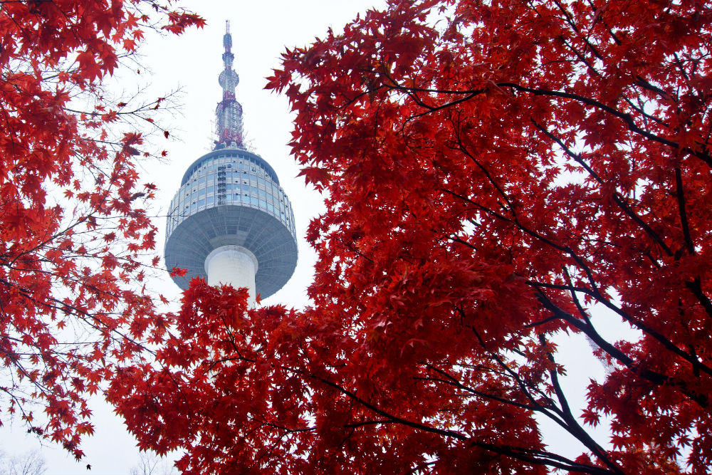 Фото: N Seoul Tower