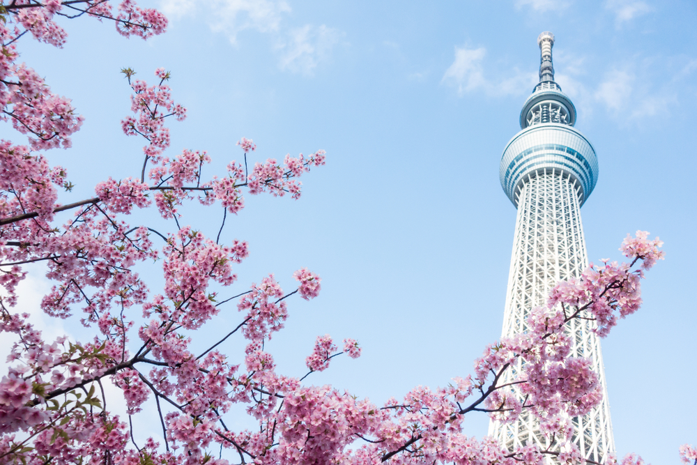 Фото: Смотровая площадка Tokyo Skytree