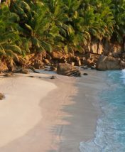 Чем заняться на Сейшельских островах