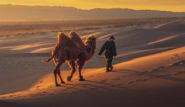 Монголия: гид по пустыне Гоби