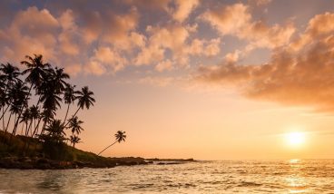 Пляжи южного побережья Шри-Ланки: топ-5 локаций