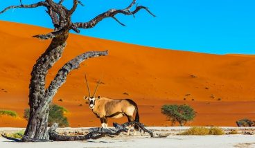 Намибия: с чего начать знакомство со страной
