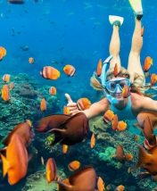 Пять мест для лучшего дайвинга