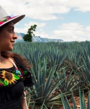 Сомбреро, кактусы и пляжи: изучаем Мексику