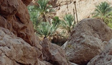 Маскат: оазисы, белые скалы и восточный рынок