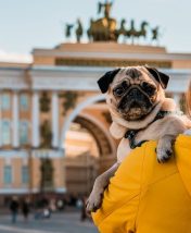 Санкт-Петербург со скидкой: изучаем Северную столицу