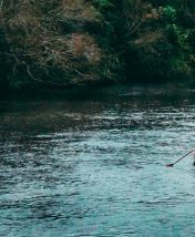 Время бурной воды: 5 топовых мест для сплавов