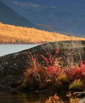 Еду в Магадан