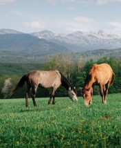 Лето в Адыгее: виа феррата, реки, водопады, пещеры и отели в горах