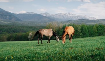 Лето в Адыгее: виа феррата, реки, водопады, пещеры и отели в горах